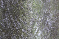 Batchfields fibreglass roof work